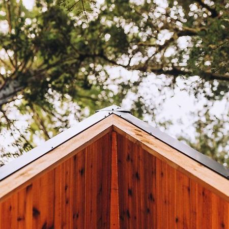The Treeframe Cabin Villa Index Exteriör bild